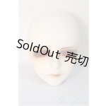 画像: Senior65 Delf XYLON Ver 65 Limited/BJD　球体関節人形 A-25-02-19-146-NY-ZA