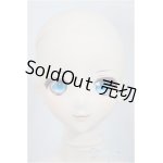 画像: DDS/D'COORD：DDH-11ヘッド/BJD　球体関節人形 A-25-02-19-389-NY-ZA