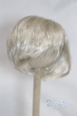 画像1: 8-9inch/ウィッグ/インチ　BJD　MJD　ドール用 A-25-04-02-395-KD-ZA (1)