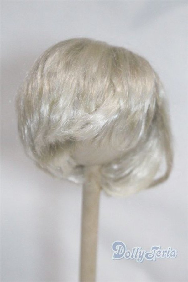 画像1: 8-9inch/ウィッグ/インチ　BJD　MJD　ドール用 A-25-04-02-395-KD-ZA (1)