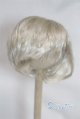 画像: 8-9inch/ウィッグ/インチ　BJD　MJD　ドール用 A-25-04-02-395-KD-ZA
