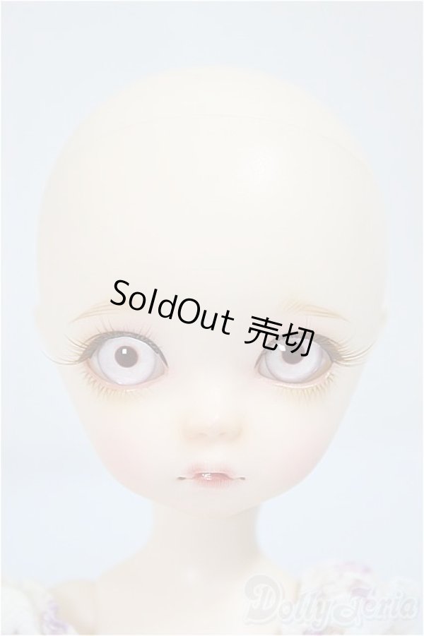 画像1: iMda Doll /2.6 Angelique/BJD　球体関節人形 A-25-02-19-397-NY-ZA (1)