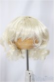 画像1: 6-7inch/ウィッグ/インチ　BJD　MJD　ドール用 A-25-03-05-165-NY-ZA (1)
