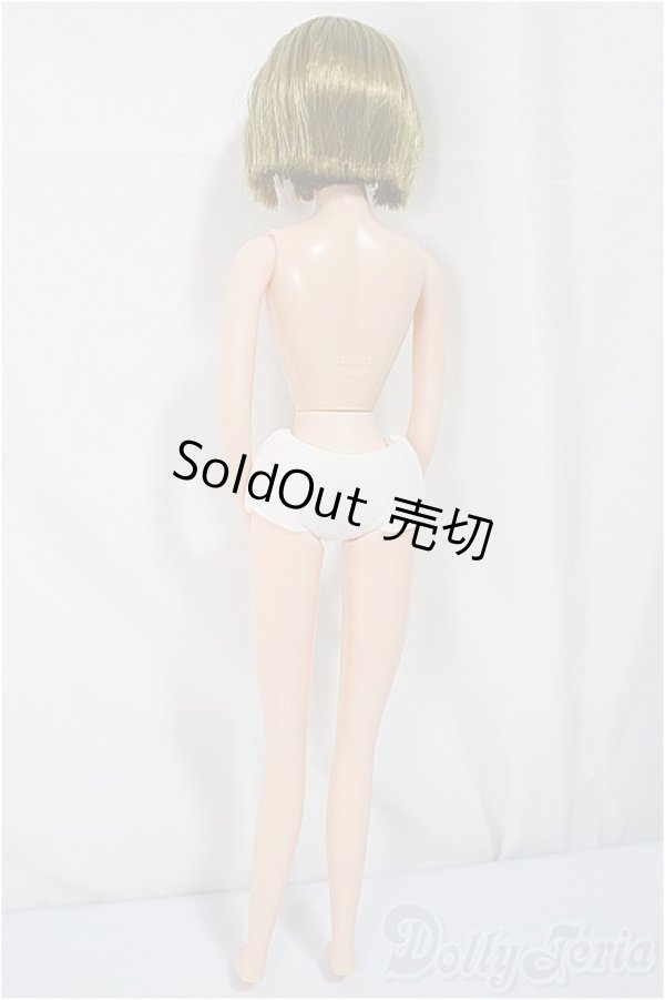 画像3: ジェニーフレンド/エリカ/BJD　球体関節人形 A-25-02-26-140-NY-ZA (3)