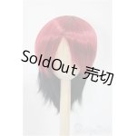 画像: 9-10inch/ウィッグ/インチ　BJD　MJD　ドール用 A-25-02-26-189-NY-ZA