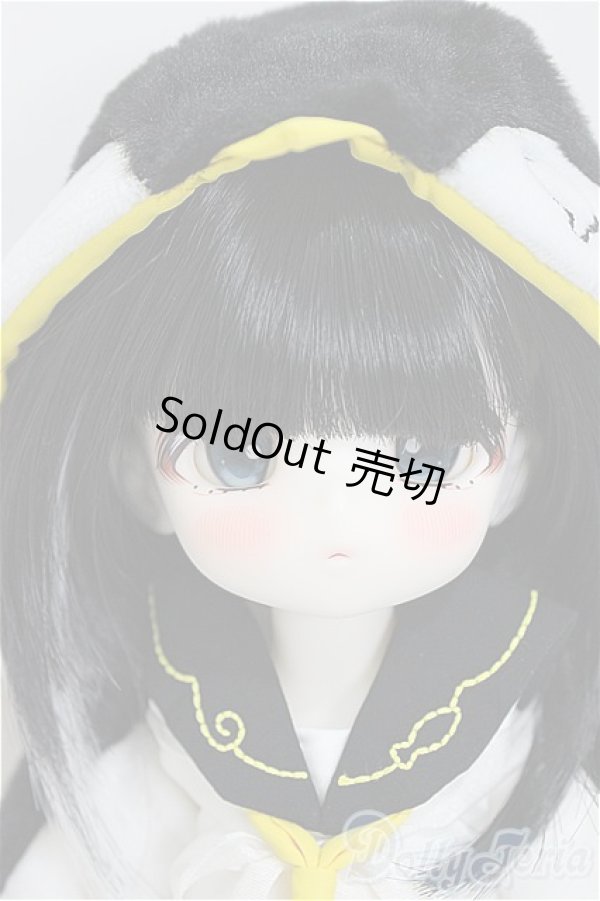 画像1: Tinyfox/デビー/BJD　球体関節人形 A-25-02-26-252-NY-ZA (1)