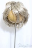 画像1: 8-9inch/ウィッグ/インチ　BJD　MJD　ドール用 A-25-03-05-150-NY-ZA (1)
