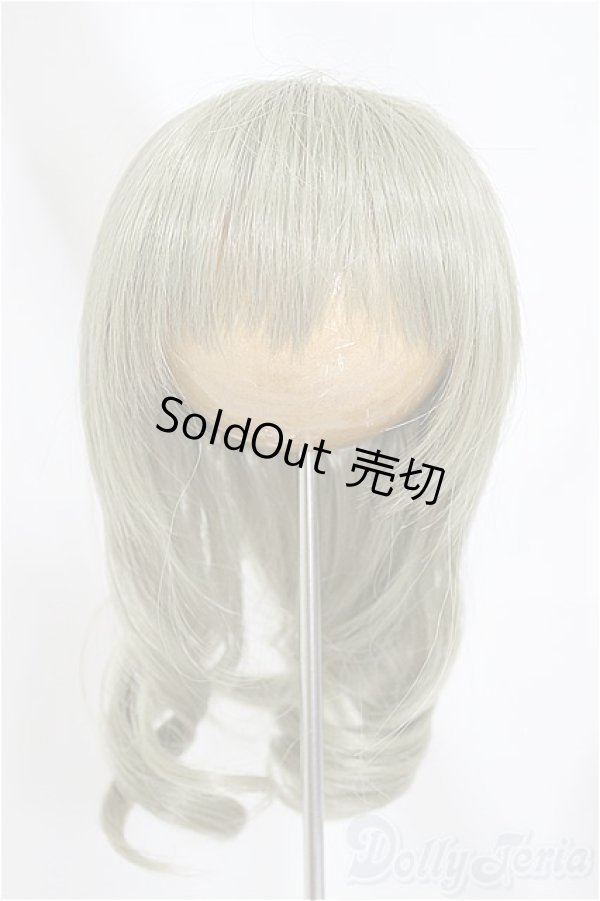 画像1: 9-10inch/ウィッグ　VOLKS/インチ　BJD　MJD　ドール用 A-25-02-26-283-KD-ZA (1)