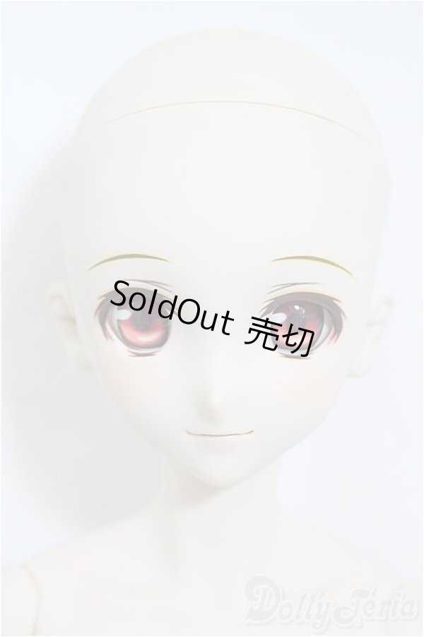 画像2: DDS/ランカ・リー/BJD　球体関節人形 A-25-02-26-398-NY-ZA (2)
