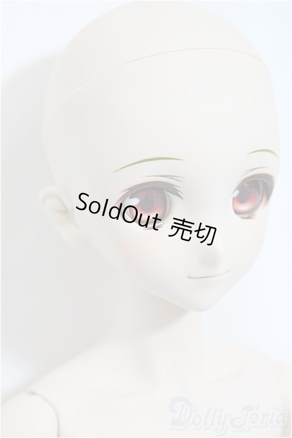 画像3: DDS/ランカ・リー/BJD　球体関節人形 A-25-02-26-398-NY-ZA (3)