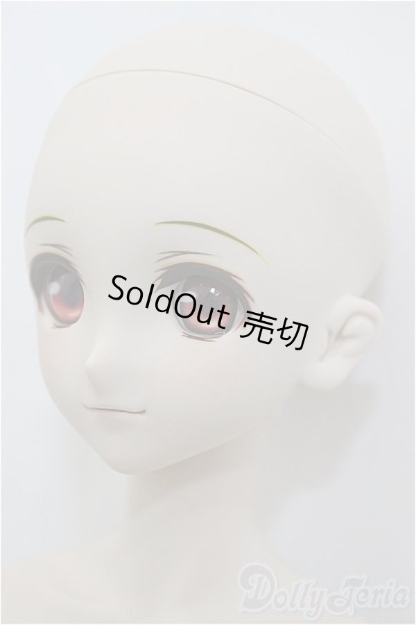 画像4: DDS/ランカ・リー/BJD　球体関節人形 A-25-02-26-398-NY-ZA (4)