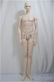画像1: RING DOLL/The Wizard　　Elzevir/BJD　球体関節人形 A-25-04-09-150-NY-ZA (1)