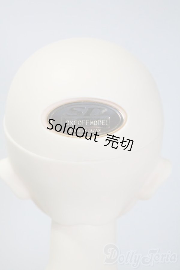 画像6: SD女の子/F-60（ここタイプ）　ワンオフヘッド　つきみ様メイク U-25-03-11-213-NY-ZU (6)