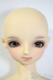 画像1: SD女の子/ローゼ・ビアンカ　ワンオフヘッド　 U-25-03-11-210-NY-ZU (1)