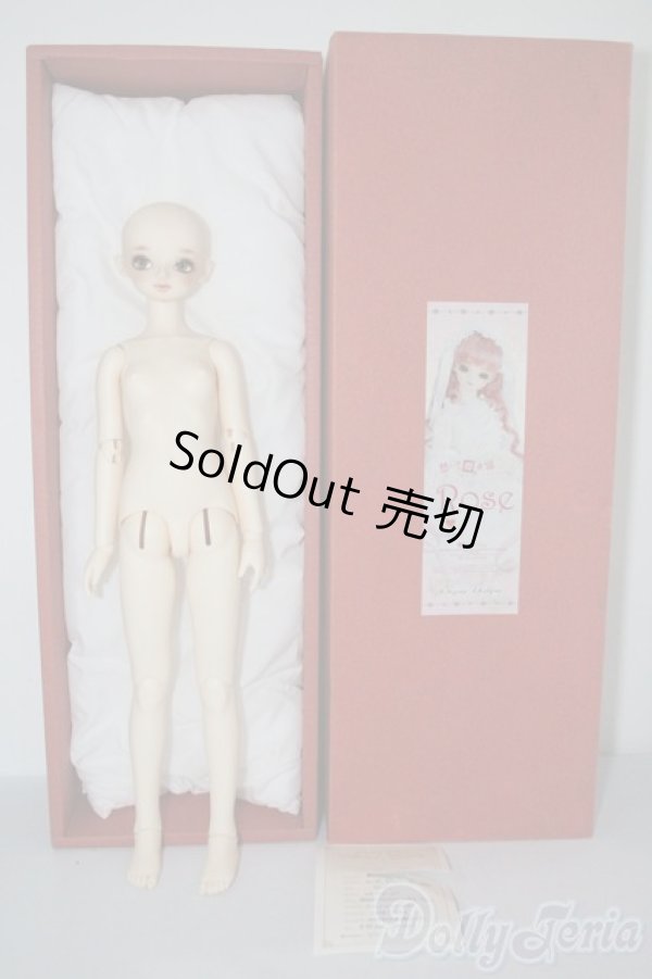画像4: SD女の子/ローゼ　ワンオフヘッド　Saifa様メイク U-25-03-11-216-NY-ZU (4)