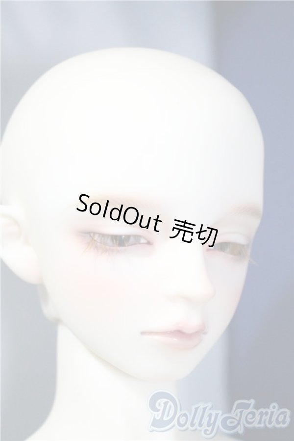 画像4: SDGr/アーニー 星間学寮ver. U-25-03-04-220-NY-ZU (4)