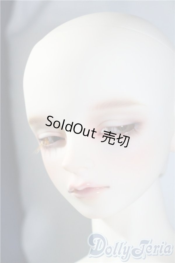 画像5: SDGr/アーニー 星間学寮ver. U-25-03-04-220-NY-ZU (5)