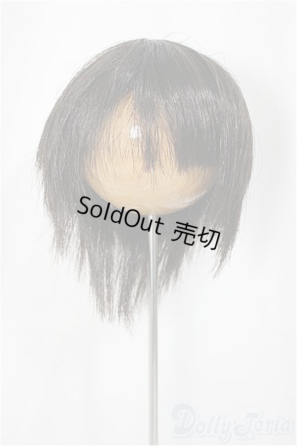 画像1: 8-9inch/ウィッグ/インチ　BJD　MJD　ドール用 A-25-03-05-279-NY-ZA (1)