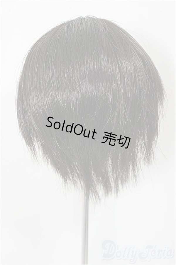 画像2: 8-9inch/ウィッグ/インチ　BJD　MJD　ドール用 A-25-03-05-279-NY-ZA (2)