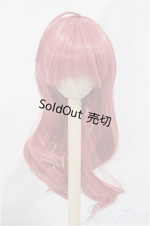 画像1: 8-9inch/ウィッグ　Nemurumori&Luna様製/インチ　BJD　MJD　ドール用 A-25-03-05-167-NY-ZA (1)