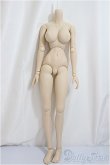 画像1: DD/ベースボディII/BJD　球体関節人形 A-25-03-05-214-NY-ZA (1)