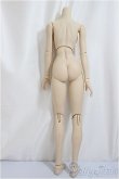 画像2: DD/ベースボディII/BJD　球体関節人形 A-25-03-05-214-NY-ZA (2)