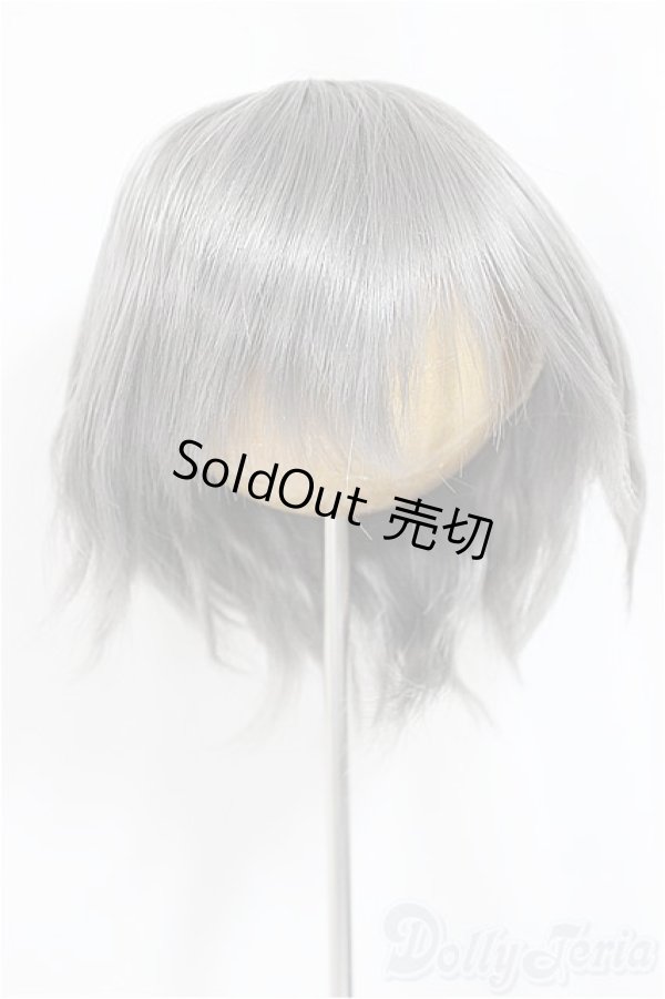 画像1: 9inch/ウィッグ/インチ　BJD　MJD　ドール用 A-25-03-12-107-NY-ZA (1)