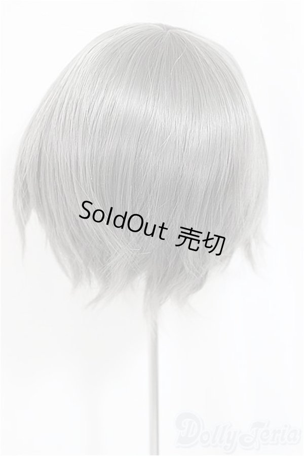 画像2: 9inch/ウィッグ/インチ　BJD　MJD　ドール用 A-25-03-12-107-NY-ZA (2)