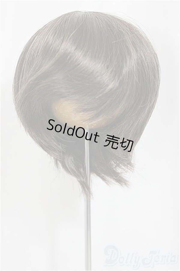画像1: 9inch/ウィッグ/インチ　BJD　MJD　ドール用 A-25-03-05-273-NY-ZA (1)