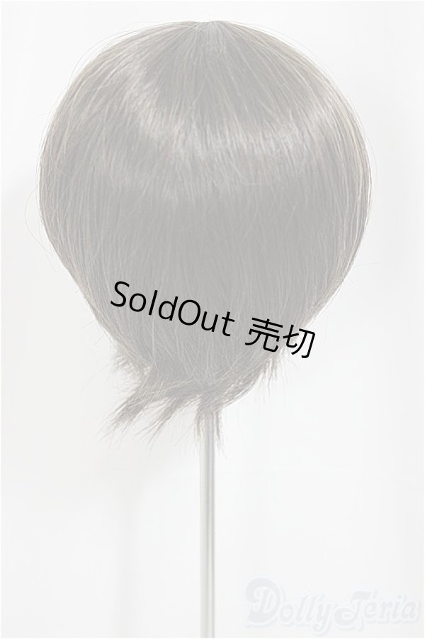 画像2: 9inch/ウィッグ/インチ　BJD　MJD　ドール用 A-25-03-05-273-NY-ZA (2)