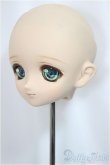 画像3: DD/フェミ/BJD　球体関節人形 A-25-03-05-252-NY-ZA (3)