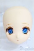 画像3: AZONE/アイリスコレクトプチ　こはる　With happiness　ヘッド+アイ+ウィッグ+衣装/0 A-25-03-05-203-KD-ZA (3)