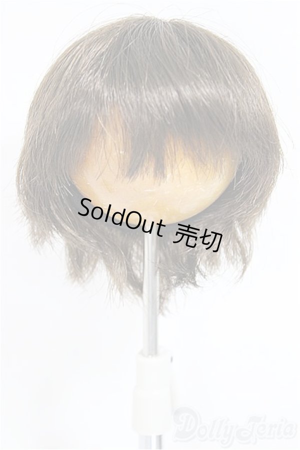 画像1: 6-7inch/ウィッグ/インチ　BJD　MJD　ドール用 A-25-03-12-109-KD-ZA (1)