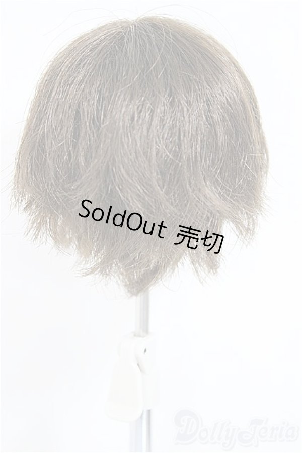 画像2: 6-7inch/ウィッグ/インチ　BJD　MJD　ドール用 A-25-03-12-109-KD-ZA (2)