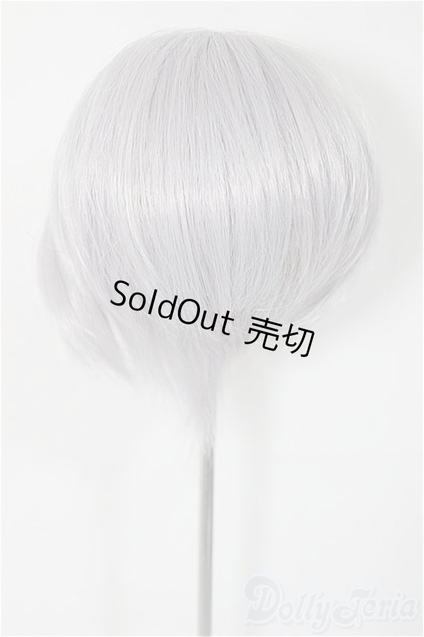 画像2: 9-10inch/ウィッグ/インチ　BJD　MJD　ドール用 A-25-03-05-431-KD-ZA (2)