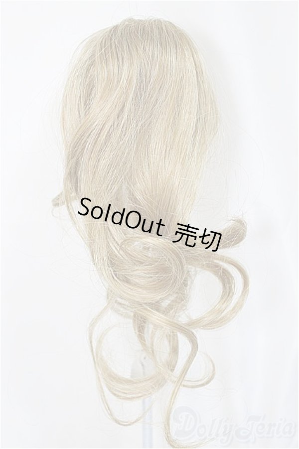 画像2: 9-10inch/ウィッグ/インチ　BJD　MJD　ドール用 A-25-03-05-419-KD-ZA (2)