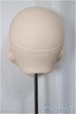画像2: IMOMODOLL/1/3Canis Bヘッド/BJD　球体関節人形 A-25-03-05-441-KD-ZA (2)