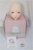 画像3: IMOMODOLL/1/3Canis Bヘッド/BJD　球体関節人形 A-25-03-05-441-KD-ZA (3)
