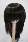 画像1: 9-10inch/ウィッグ U-25-03-18-024-KD-ZU (1)