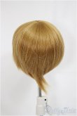 画像2: 6-7inch/ウィッグ/インチ　BJD　MJD　ドール用 A-25-03-12-298-KD-ZA (2)