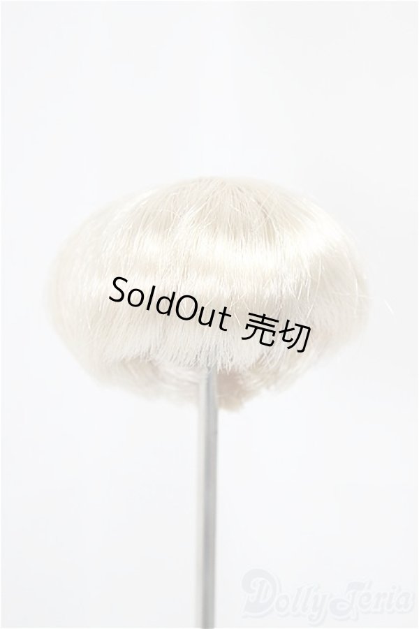 画像1: 5inch/ウィッグ/インチ　BJD　MJD　ドール用 A-25-03-12-260-KD-ZA (1)