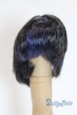 画像1: 5.5inch/ウィッグ/インチ　BJD　MJD　ドール用 A-25-03-26-010-NY-ZA (1)