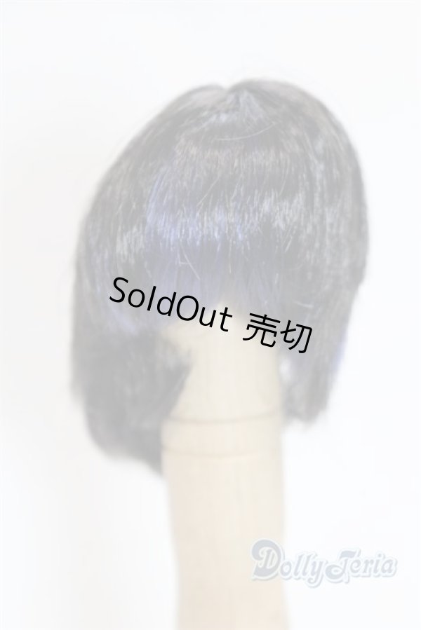 画像1: 5.5inch/ウィッグ/インチ　BJD　MJD　ドール用 A-25-03-26-010-NY-ZA (1)