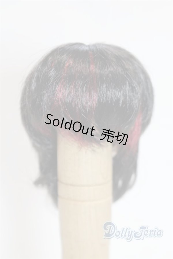 画像1: 5.5inch/ウィッグ/インチ　BJD　MJD　ドール用 A-25-03-26-011-NY-ZA (1)