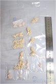 画像2: ブラインドドール/ハンドパーツ/ A-25-03-19-185-NY-ZA (2)