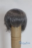 画像1: 4inch/ウィッグ/インチ　BJD　MJD　ドール用 A-25-03-26-008-NY-ZA (1)