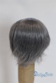 画像2: 4inch/ウィッグ/インチ　BJD　MJD　ドール用 A-25-03-26-008-NY-ZA (2)