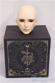 画像4: kinodoll/erilヘッド/BJD　球体関節人形 A-25-03-19-145-NY-ZA (4)