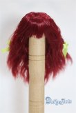 画像1: 3.5inch-4inch/ウィッグ/インチ　BJD　MJD　ドール用 A-25-03-26-014-NY-ZA (1)