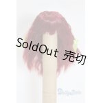 画像: 3.5inch-4inch/ウィッグ/インチ　BJD　MJD　ドール用 A-25-03-26-014-NY-ZA